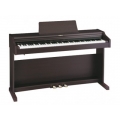 Roland RP 101RW